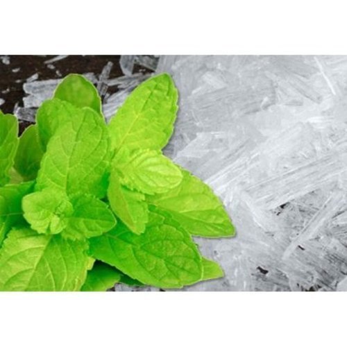 Menthol BP/USP, 25 kg
