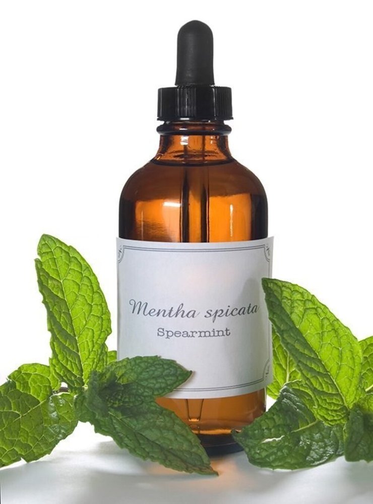 Menthol Water Soluble, Purity: 100%, Loose
