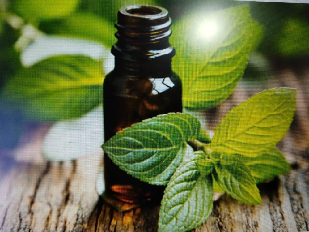 Peppermint Oil Dementholised Rectified
