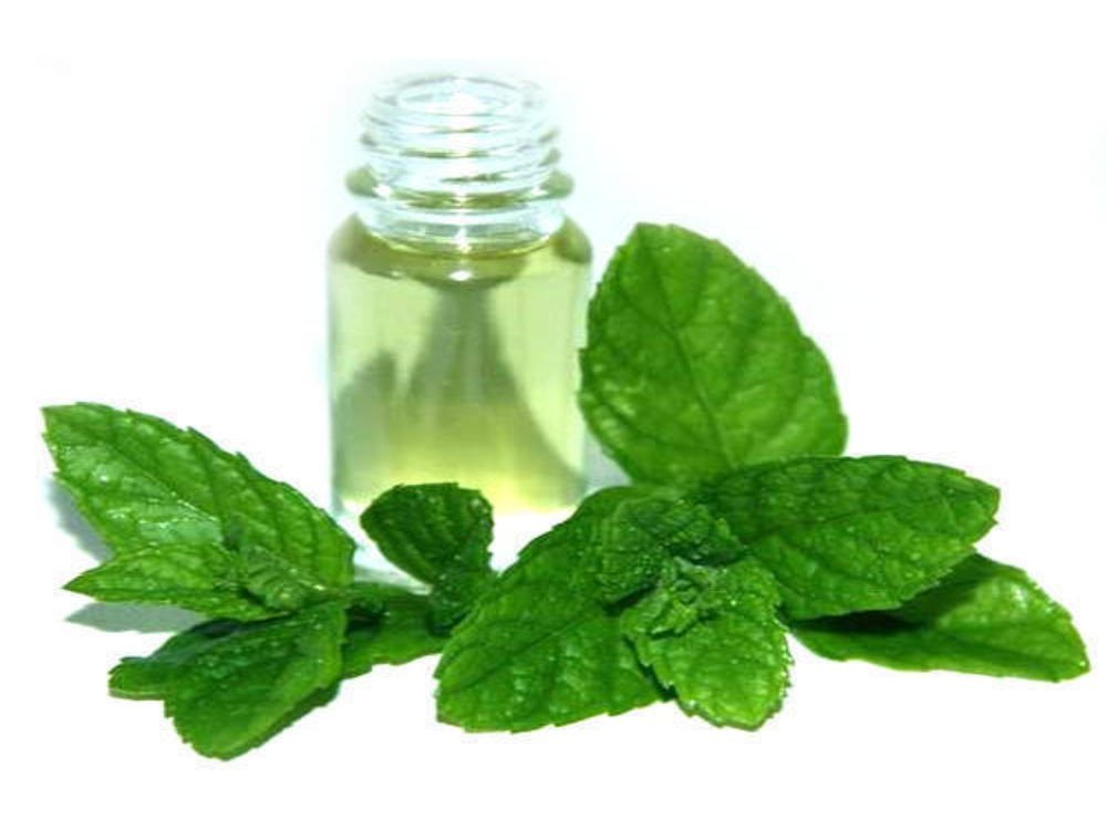 Liquid Menthyl Acetate, For Pharma