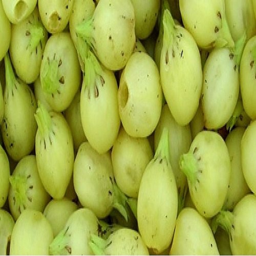Sivaroma Mahua Oil, 50ml