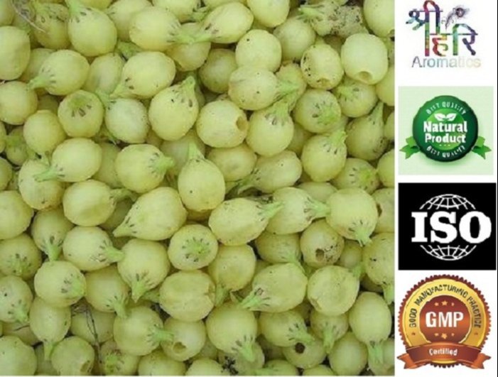 Madhuca Indica Oil
