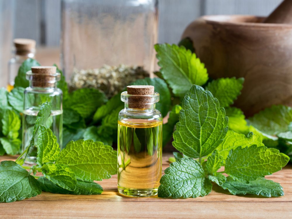 Melissa Officinalis Lemon Balm Oil for Skin Care