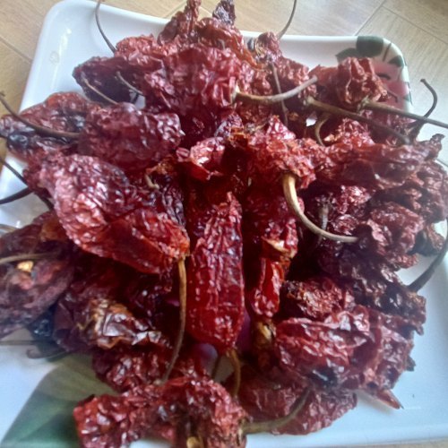 Red Natral Colour Nagaland Bhoot Jolokia Ghost Pepper, Packaging: Plastic Bag or Polythene