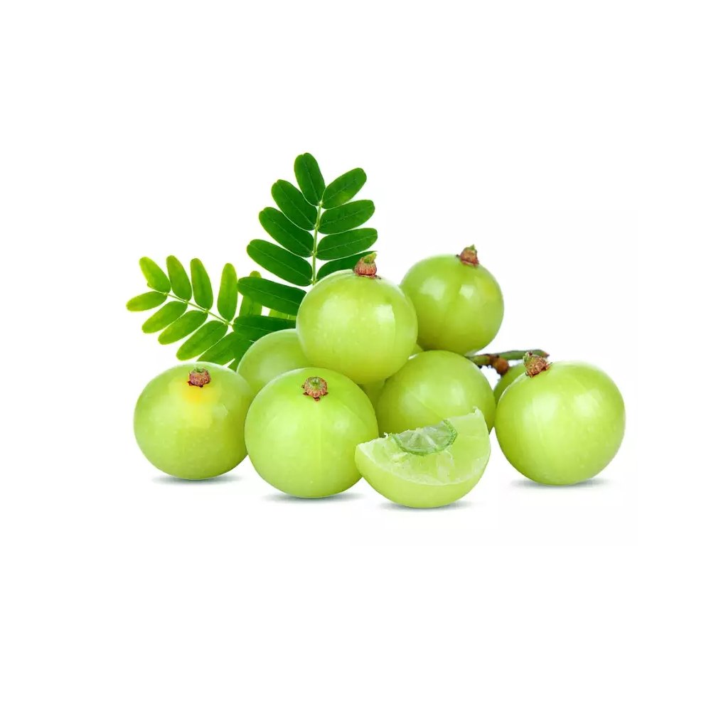 Amla Seed Carrier Oil