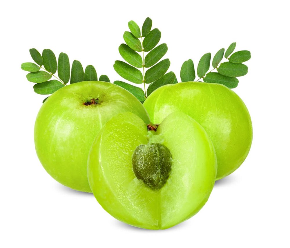 Steam Distillation Phyllanthus emblica Amla Seed Carrier Oil Virgin, For Aromatherapy, Packaging Type: Aluminum Bottle