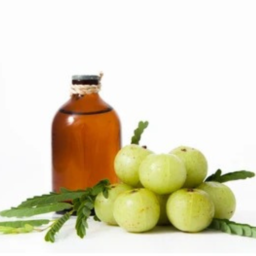 Amla Seed Carrier Oil