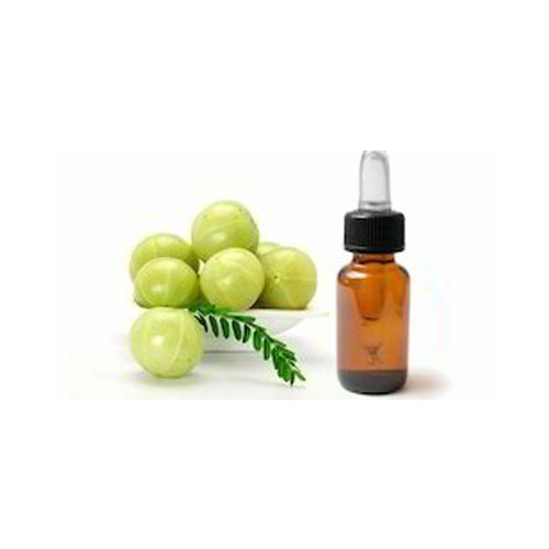 Liquids Seeds Amla Oil, For Medicine