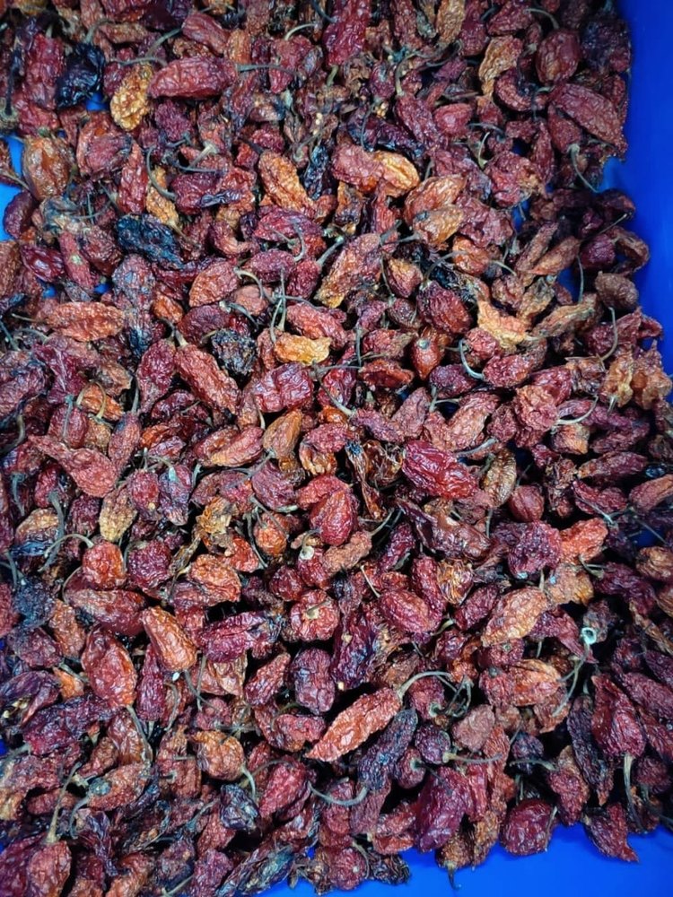Red Dry Ghost Pepper, It A Hot And Smoky Favor, Packaging: Loose
