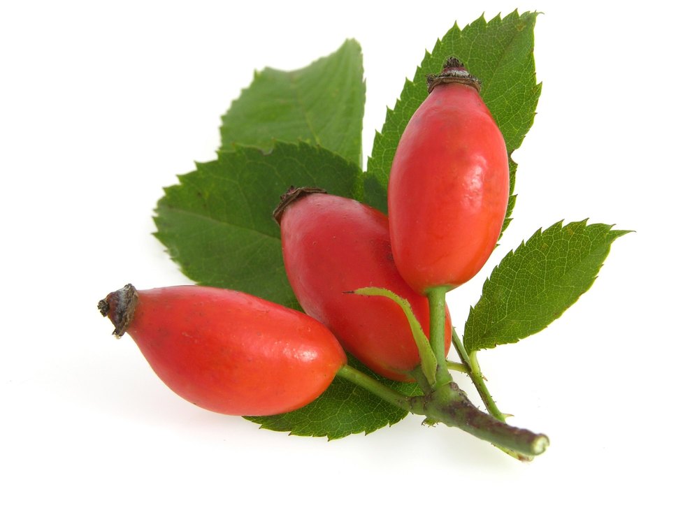 Cold Pressed Rosehip Carrier Oil, For Aromatherapy