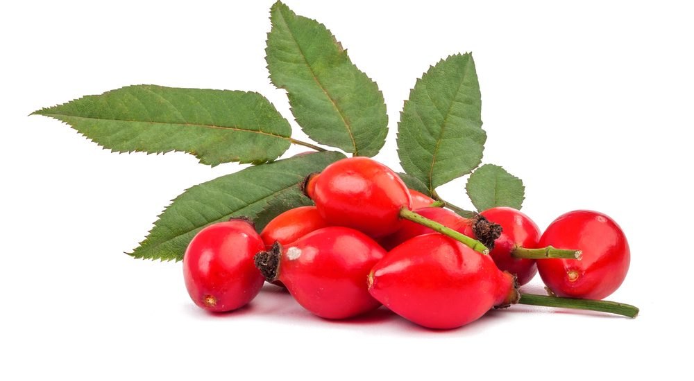 Rosa Rubiginosa Rosehip Seed Oil, For Skin Care
