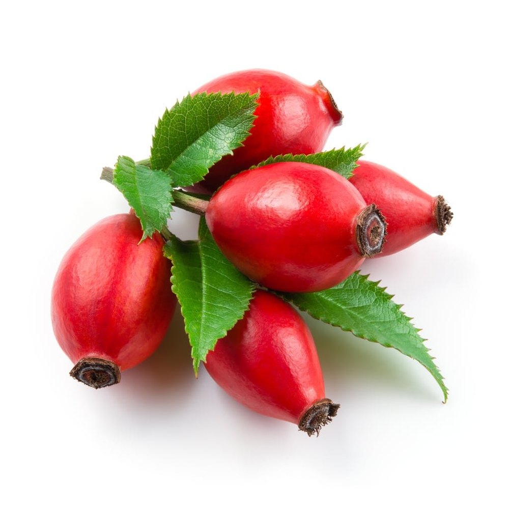 liquid form Rosa canina L. Rosehip Oil