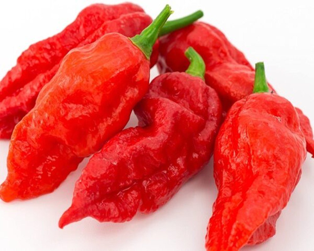 Nagaland Red Jolokia Ghost Pepper, Pesticide Free (for Raw Products), Packaging: Loose