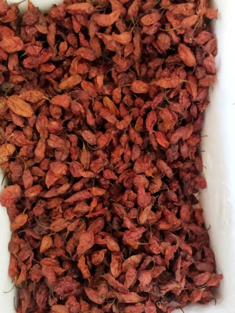 Red Nagaland Ghost Pepper Bhut Jalokia, Packaging: Carton