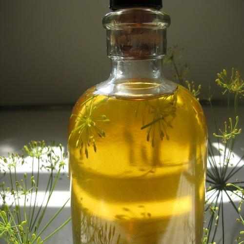 Anethum Graveolens Dill Seed Oil