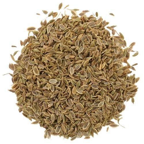 Anethum Graveolens Dill Seed Essential Oil