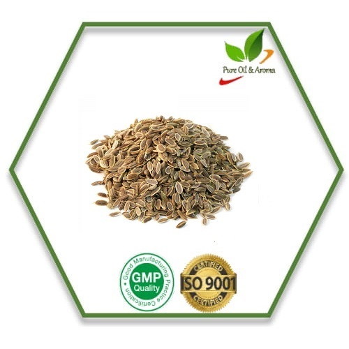 Pale Yellow Fresh Dill Seed Oil