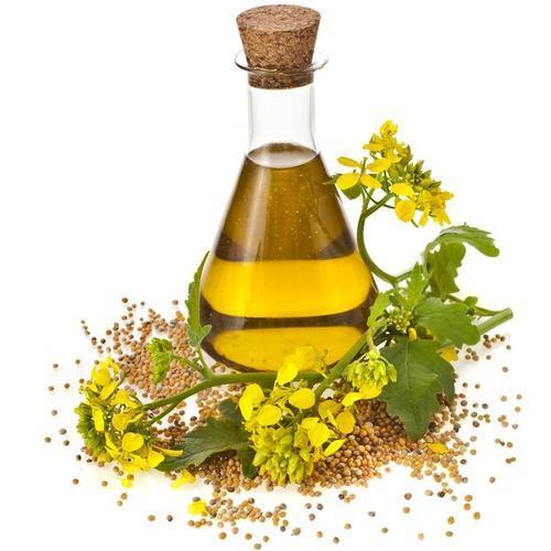Dill Seed Oil