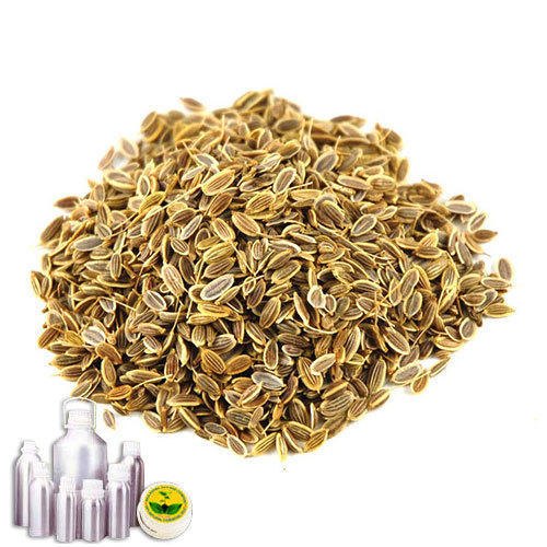 DILL OIL