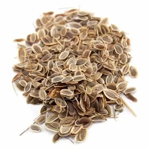 Dill Seed Oil / Anethi Oil (Anethum Sowa)