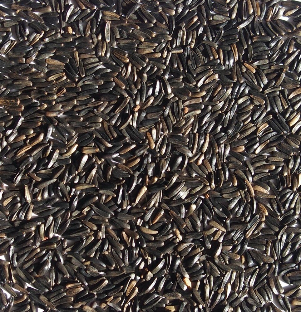 Lowers Cholesterol Niger Oil, For Cooking And Orally, Packaging Size: 1 Ltr