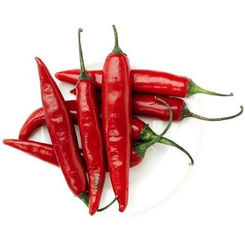 Stem Dry Chilli Pepper