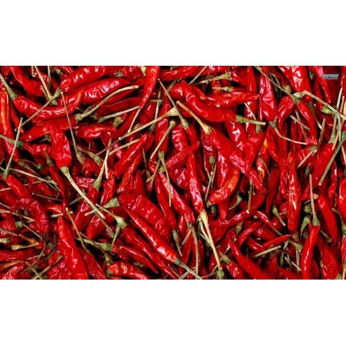 Dry Red Chilli Pepper