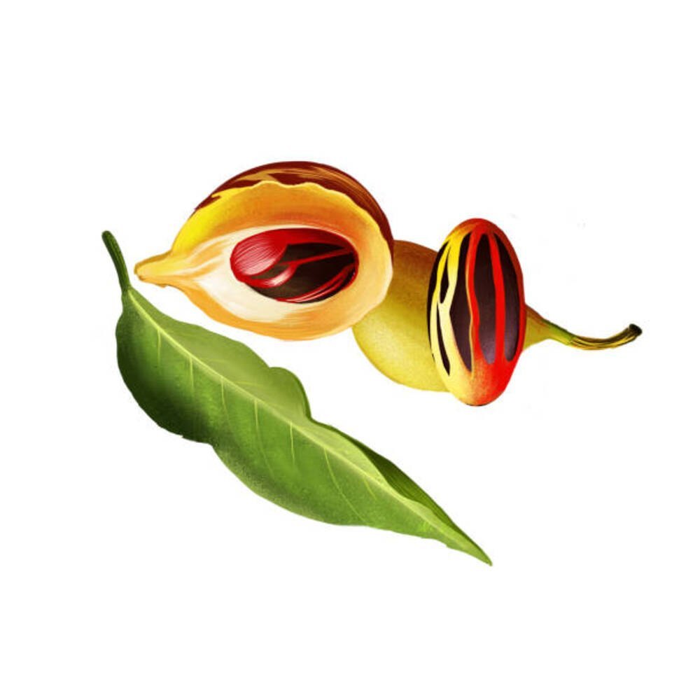 Liquid 98% Nutmeg Oil