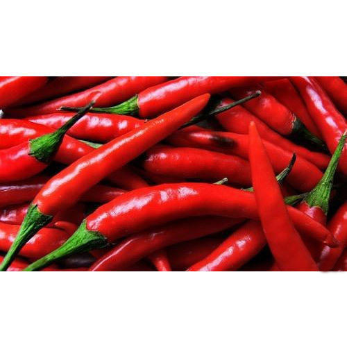 Red Chili Pepper, Packaging: Plastic Bag or Polythen
