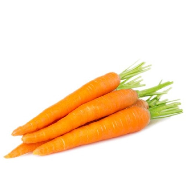 Carrot Seed Essential Oil
