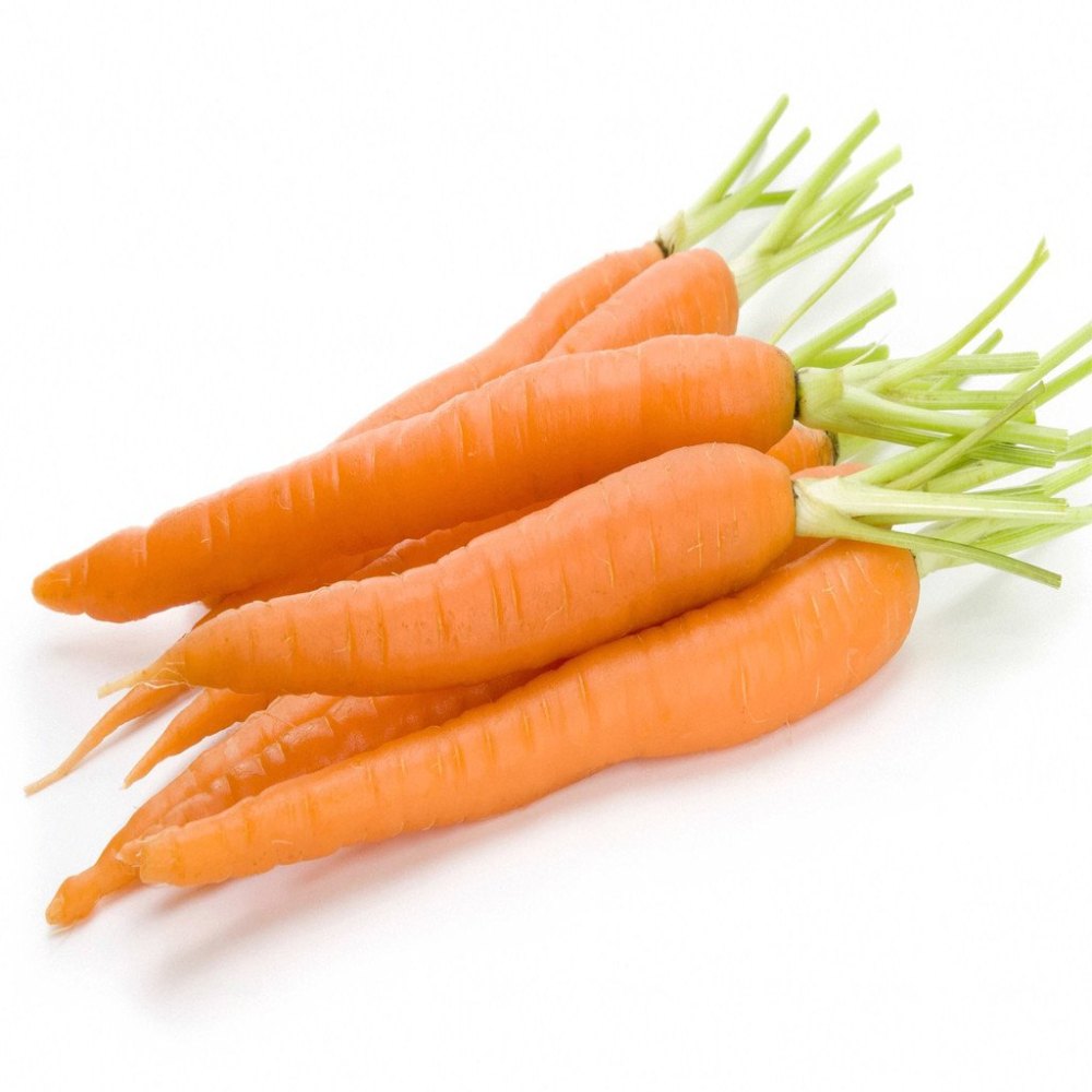 KS Essential Carrot Seed Oil, For Skin Care
