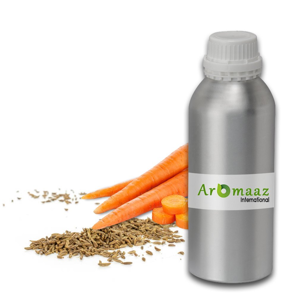 Seeds Carrot Seed Carrier Oil