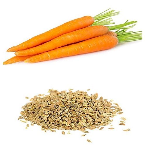 Liquid Seeds Carrot Seed Carrier Oil
