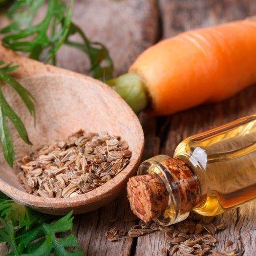 Katyani Exports Carrot Seed Oil