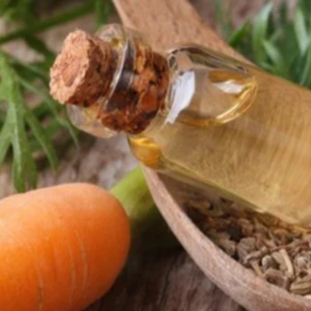 CARROT SEED OIL
