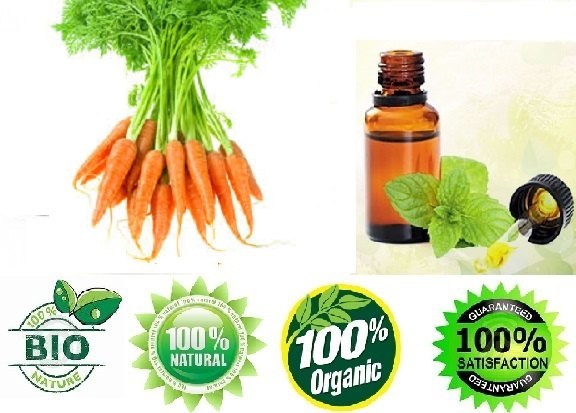 Carrot Seed Oil