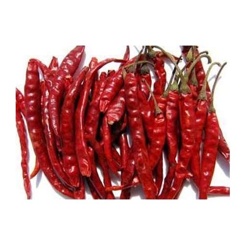 Teja Chilli