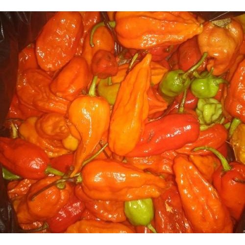 Naga King Chilli A Grade Fresh Sweet Red Pepper