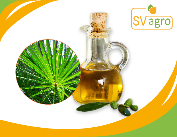 Light Pale Saw Palmetto Oil, Packaging Type: Pp Bottles, Hdpe Drums, Packaging Size: 25 Kg