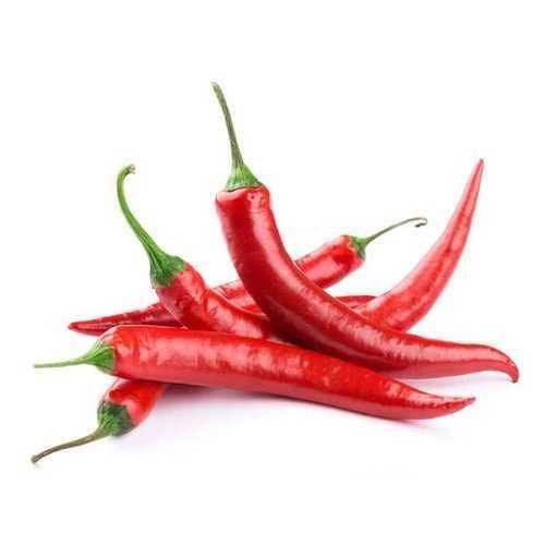 A Grade Red Chilli Pepper, Packaging: Packet