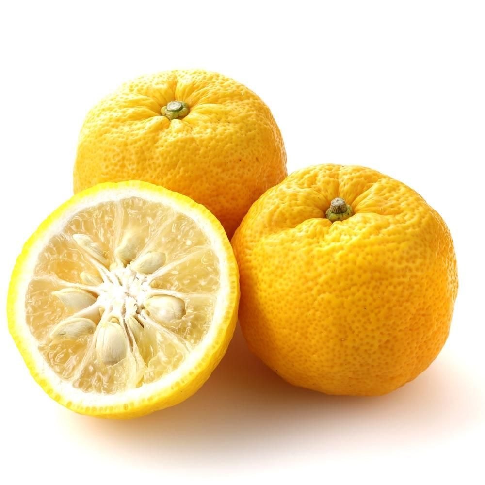 EOC Citrus Junos Yuzu Essential Oil, For Food