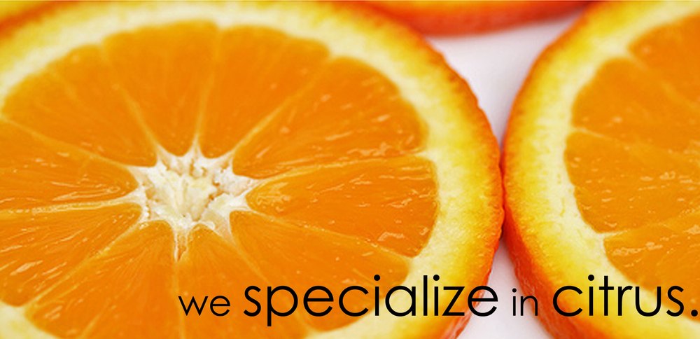 Citrus Fruit Oils