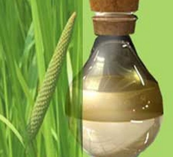liquid Acorus calamus Chocolate Oil, For Cosmetic, 1 Kg