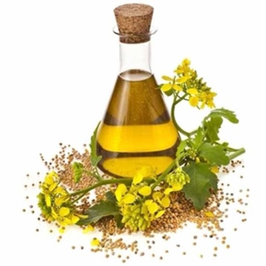 Celery Seed Oil