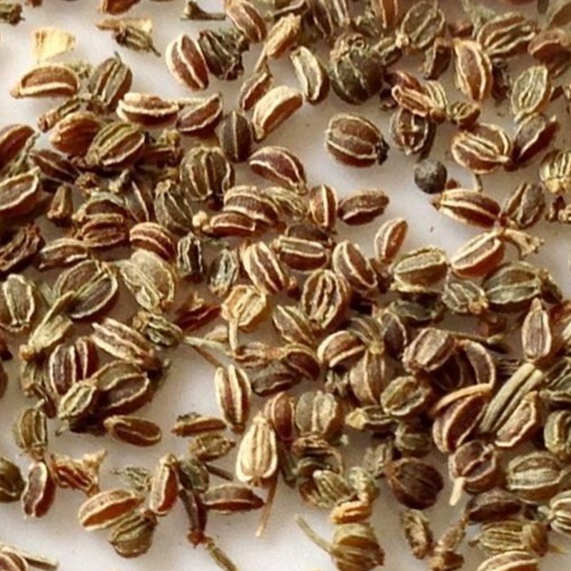 100% Celery Seeds Oil