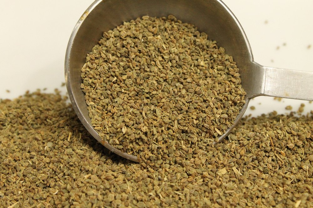 KS Essentials Pure And Natural Celery Seed Essential Oil for Skin Care