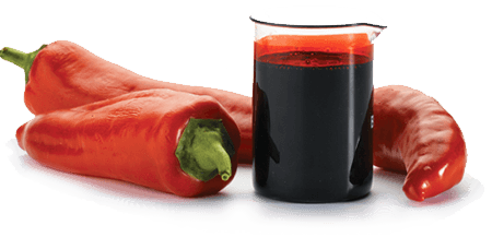Oleoresin Paprika