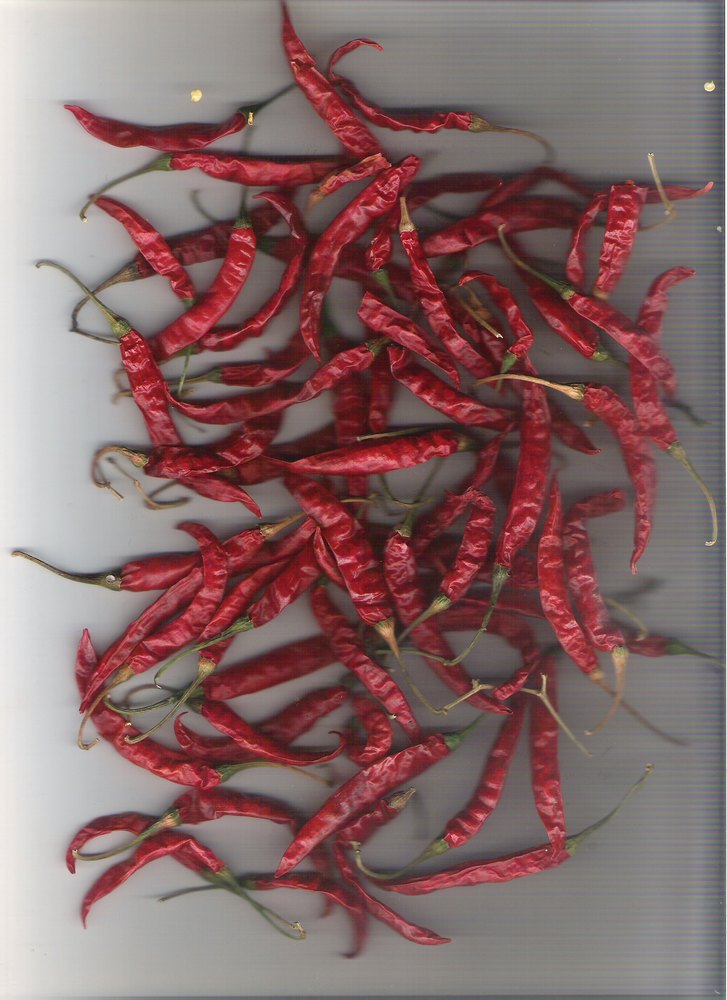 Capsicum Oleoresin