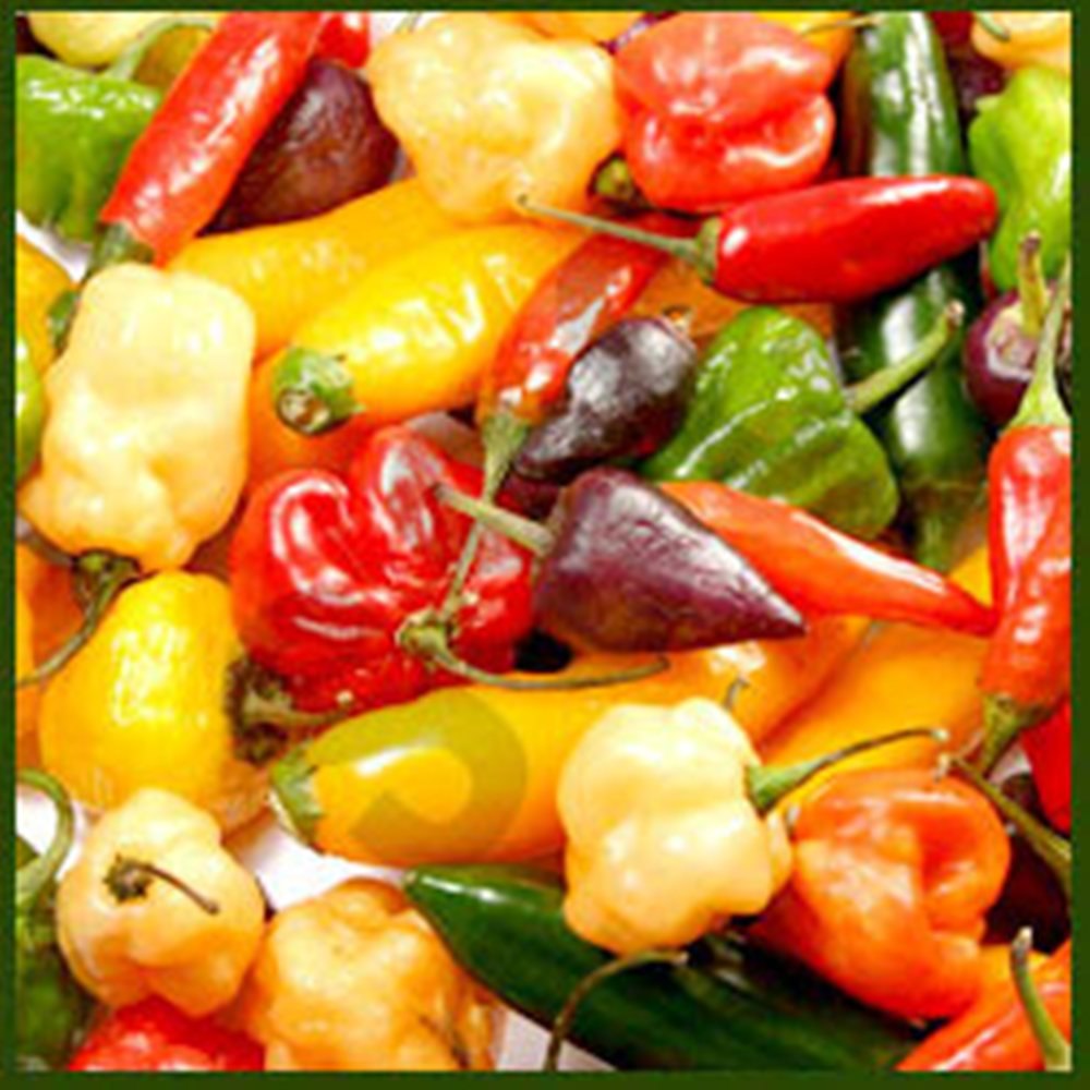 Red Chilli Oleo, Grade: Standard