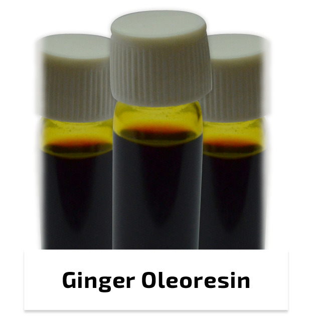Ginger Oleoresin Supercritical CO2 Extract